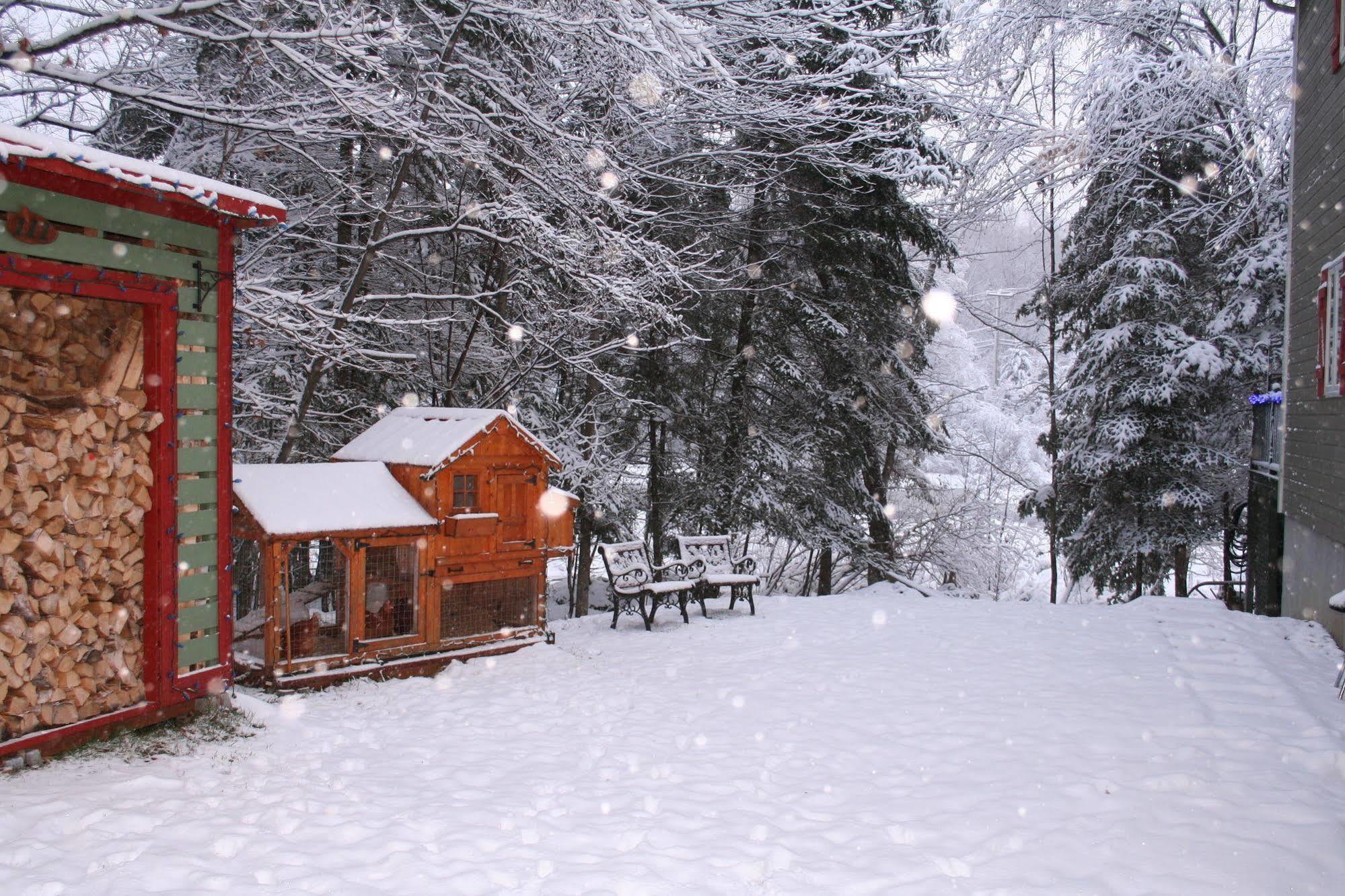 La Chaumiere De L'Anse Bed & Breakfast Mont-Tremblant Eksteriør bilde